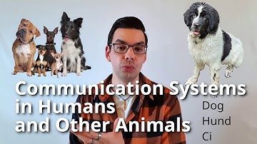 Week 10.1 Communication Systems in Humans and Other Animals