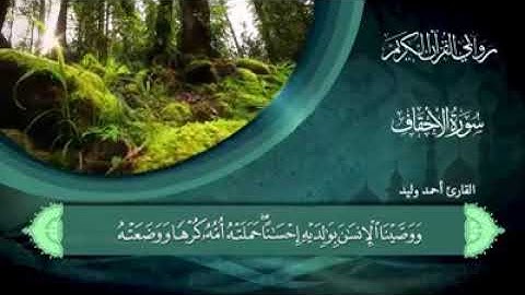 روابي القران الكريم القارئ احمد وليد