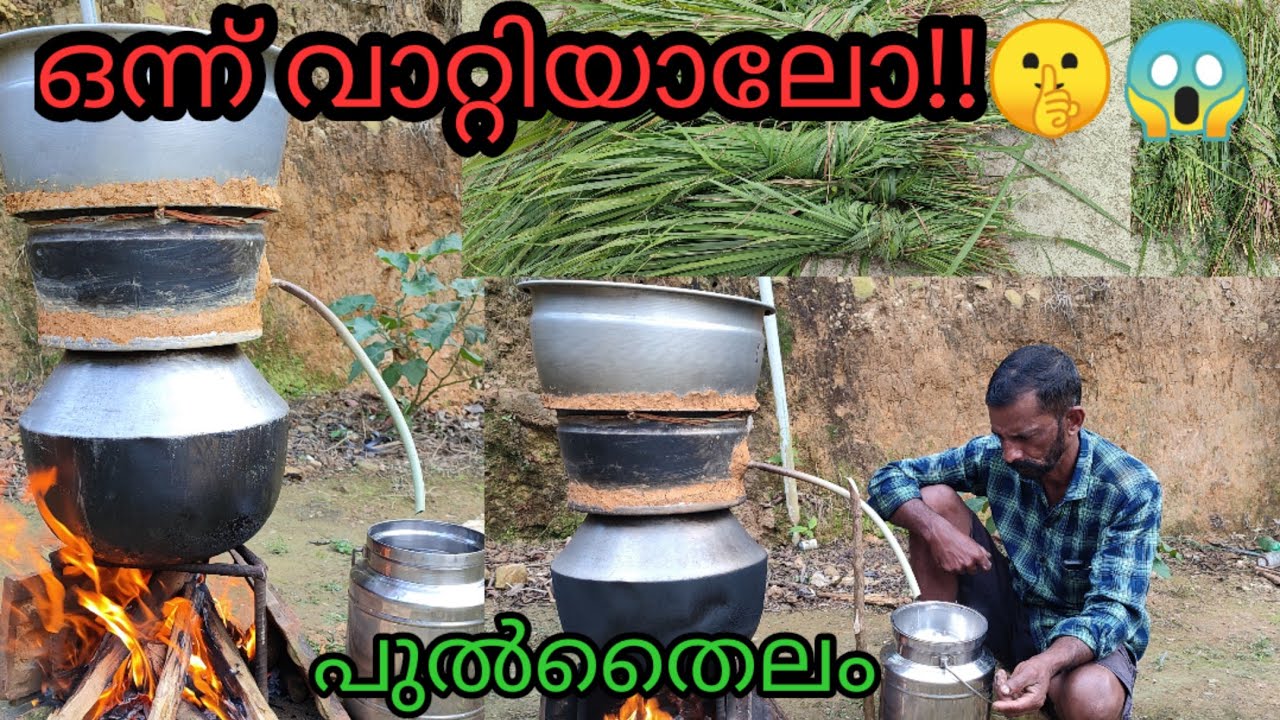 പുൽതൈലം വാറ്റം || ഇഞ്ചിപുല്ല് | Lemon grass #essentialoil #lemongrass #distillation