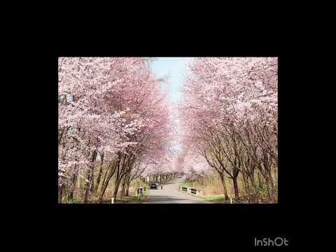 今夜はブギー・バック(remix)