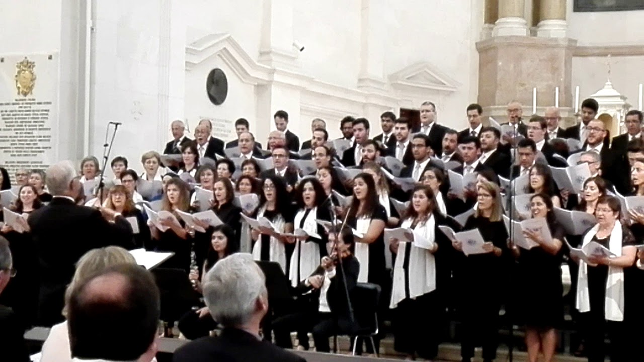 Ave de Fátima (A 13 de Maio)