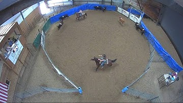 Big Sky Ranch Sorting Saddle Series #5 - #5 - Round #2 - Ride #11