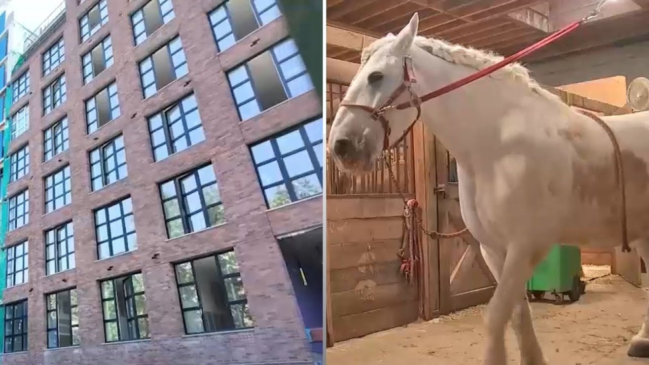 Historic Prospect Park Stable sues luxury developer over nearby construction