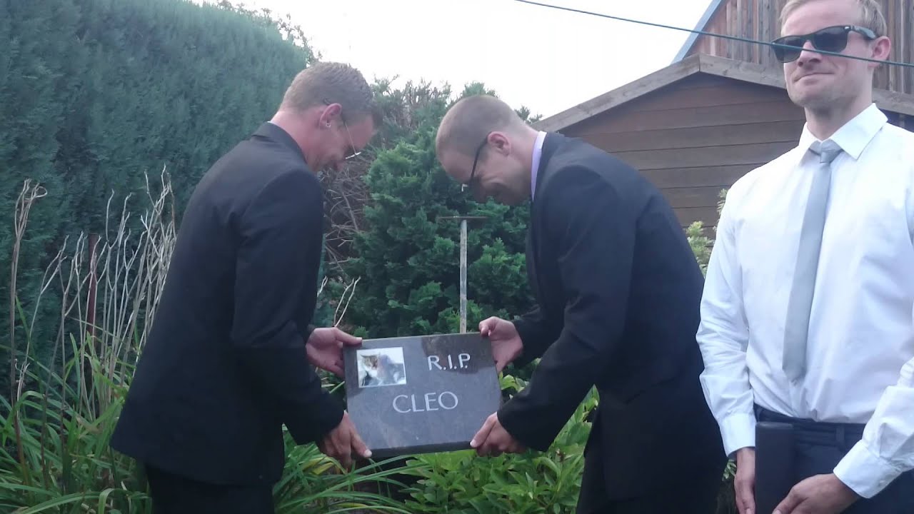 Katze stirbt nach 17 Jahren!  Tribute Trauerfeier