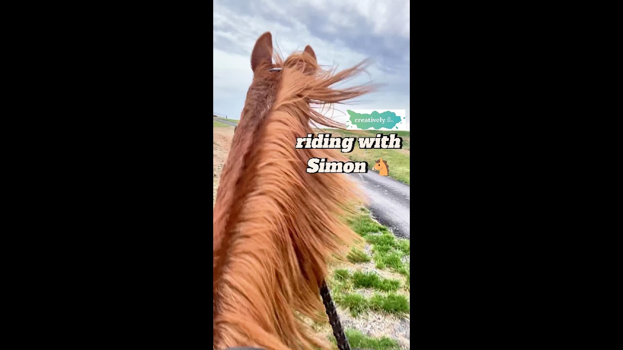 Trail Riding with Simon the Therapy Horse | Therapist & Co-Therapist ...