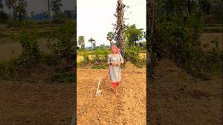 Baha Leka Aam Kuri #dance #newsantali #song #viral #sarisantali #funny #love #technology #youtube