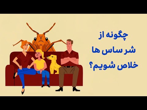 چرا خلاص شدن از شر ساس ها انقدر سخته