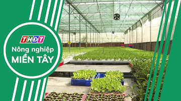 TP.HCM đẩy mạnh sản xuất nông nghiệp công nghệ cao, an toàn | Nông nghiệp Miền Tây