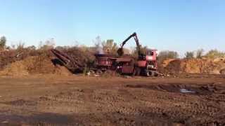 Brush Processed and Ground @ Grillo Services Milford, CT