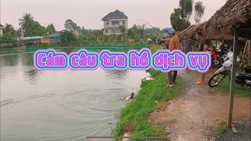 Cám câu tra hồ dịch vụ ( bài số 5 cám bể )