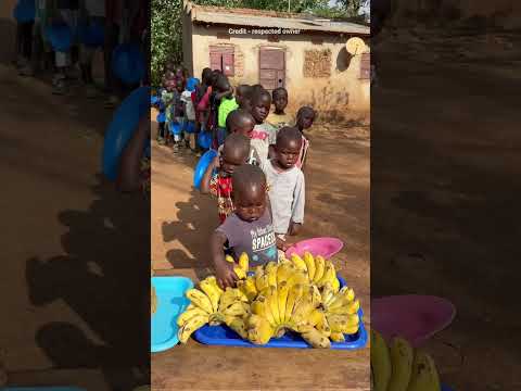 He Picked The Paratha And Banana Like A Good Boy 
