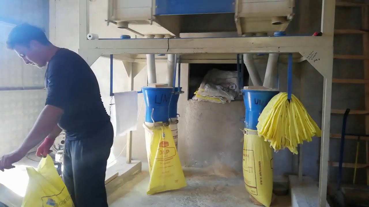 Bugün değirmende un üğüttük. Buğdayın una dönüşmesi. 