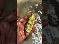 Unbelievable catch fish from the beel — shocking village fishing moments! 🐟🔥