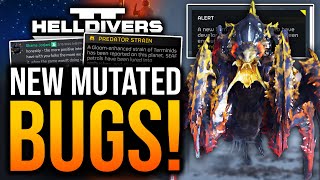 Helldivers 2 - NEW Enemy Types! Devs WIN Awards!
