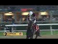 Race #9 – 28.03.26 – Emirates Dubai World Cup – Magnitude