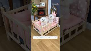 Solid Wood Dog Bed