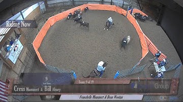 Big Sky Ranch Sorting Saddle Series #3 - Open H/C - Round #1 - Ride #9