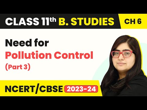 Need for Pollution Control (Part 3) | Class 11 Business Studies Chapter 6 | CBSE 2024-25