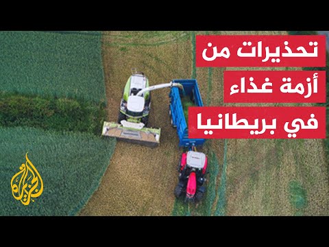 بريطانيا.. تحذيرات من أزمة غذاء محتملة ودعوات لدعم المزارعين