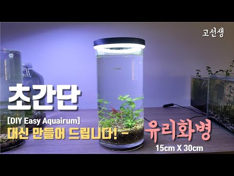 3000원 유리화병 어항 만들기 / 대신 만들어 드립니다./여과기 없는/How to make Easy Aquarium / Jarrarium/ flowerbowl/