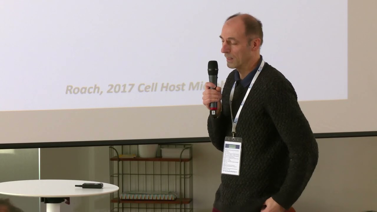 Comment fonctionne la synergie entre bactériophages et réponse immunitaire ?