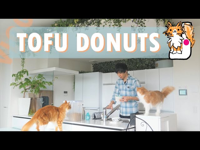 Tofu Donuts
