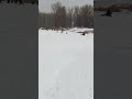 Прогулки на природе. Дышим свежим воздухом.