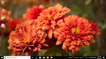 Fix Error 0x80070005 When Updating Windows 7, 8 and 10 (Tutorial)