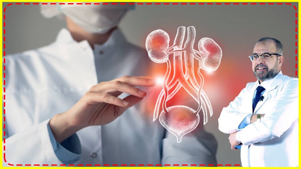 هدية الدكتور جودة للعالم : اعادة بناء الكلى المريضة | دكتور جودة محمد عواد