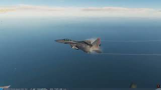 DCS | Steel in F-15E taking FLAK