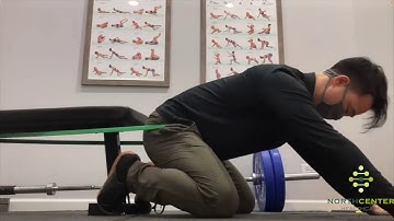 DNS Quadruped variations