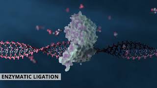 How to synthesize complex custom long oligonucleotides