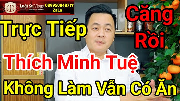 🔴 Thích Minh Tuệ Nói Chỉ Giữ Giới Không Làm Vẫn Có Ăn? Luật Sư Vlogs