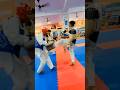 Aryans world taekwondo academy dream journey from becoming warrior to winner teamaryans taekwondo