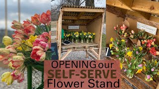 Opening Our Self Serve Flower Stand 🌷