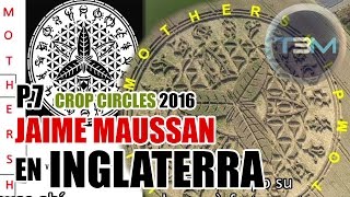 P.7 Crop Circles 2016 - Ansty - Steven Grant y la decodificación de los ideogramas