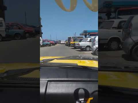 لساني بحب إسكندرية وهافضل بإذن الله