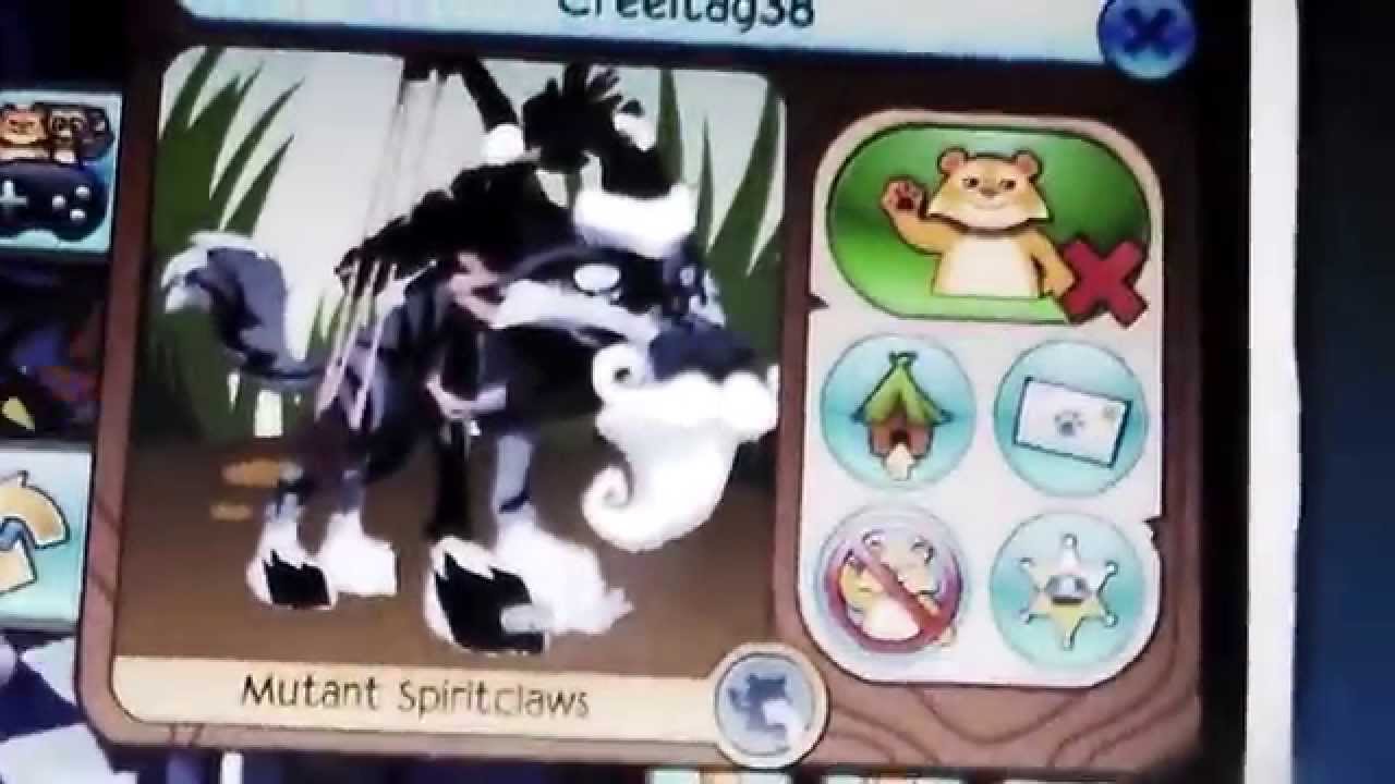 Animal Jam Dance Party!!!! YouTube