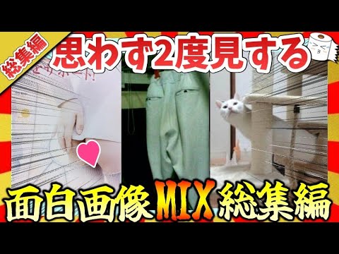 [🔥 Hilarious: Compilation] A collection of funny images and videos that will make you look twice!...