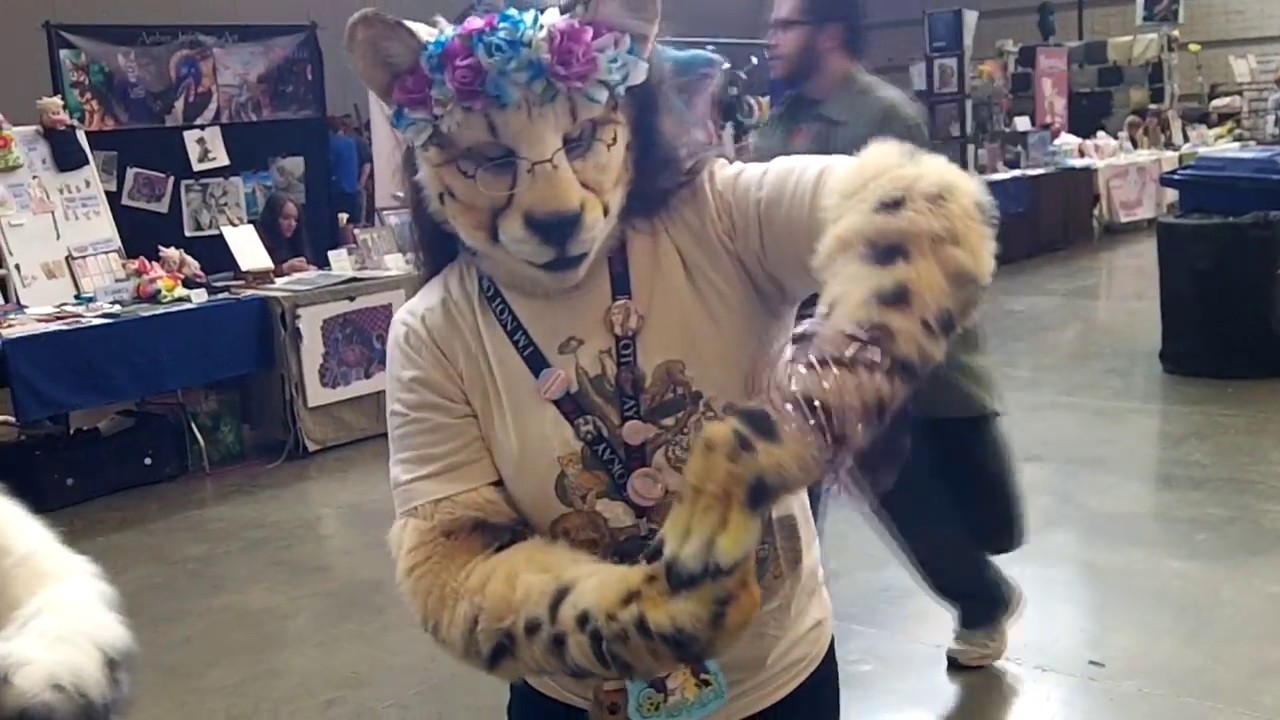 🐱 Anthrocon 2016 Con Video 🐺