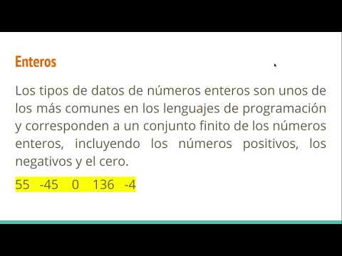 Programming Fundamentals - Primitive Data Types