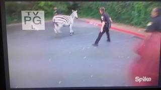 Cops Season 29 Opening