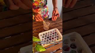 Viral Üzüm Sabunu Yapımı - Üzüm Sabun Nasıl Yapılır?