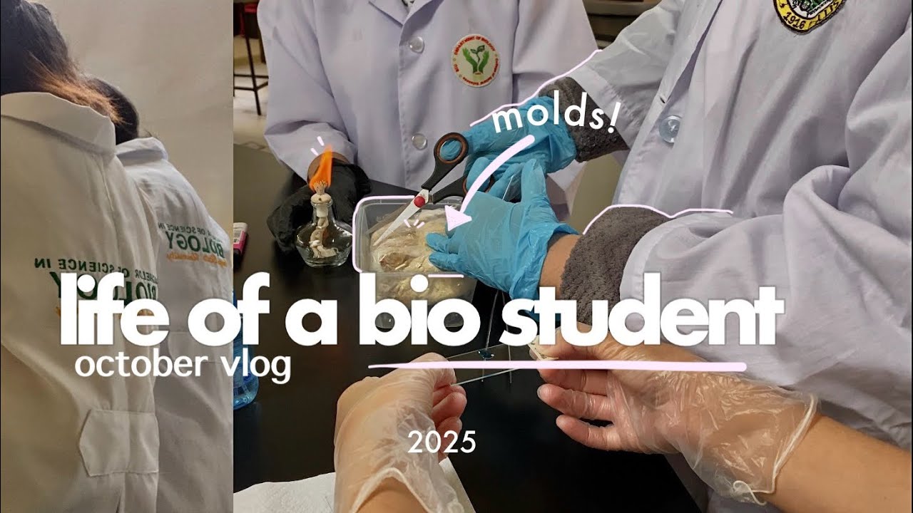 week of BIO student in BSU| laboratory activity, isolating fungi, attending assembly