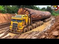 Extreme dangerous monster logging wood truck driving skills  powerful machines and heavy machinery