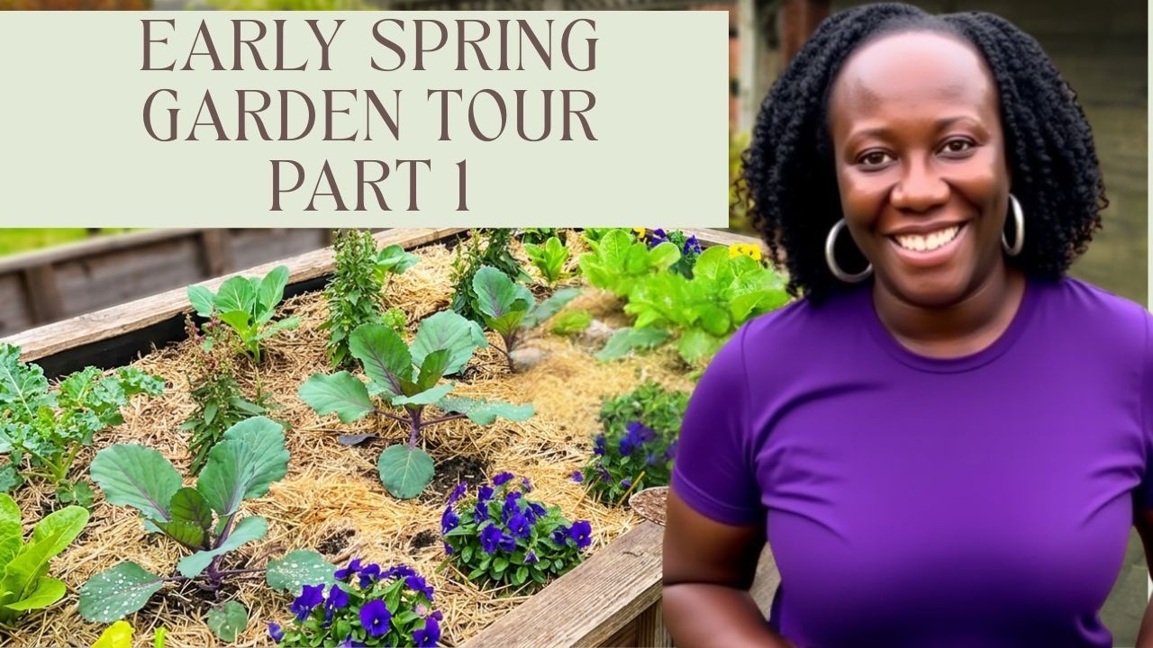 Early Spring Planting: How I’m Filling My Raised Beds Garden Tour - YouTube