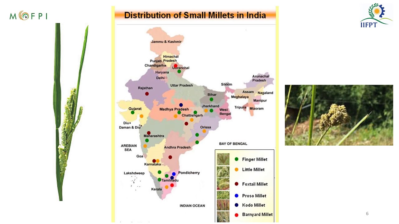 PowerPoint Presentation on Kodo Millet Cookies Processing (under PMFME