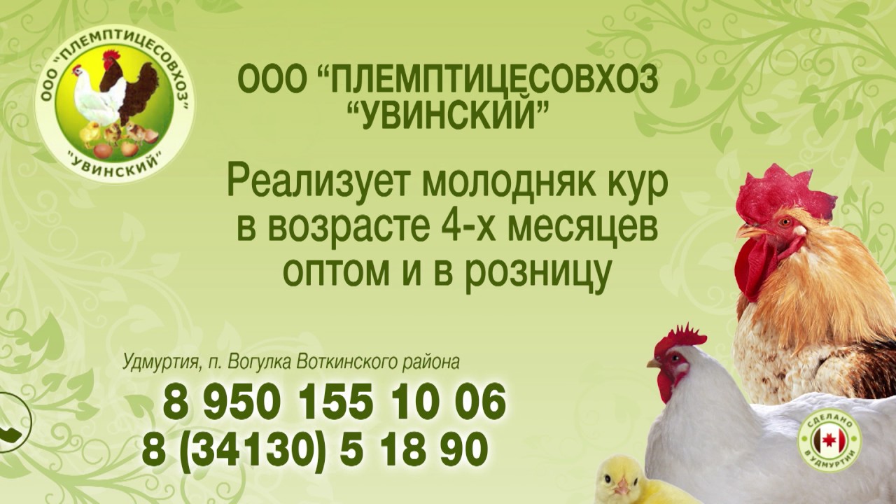 Моя рабочая карта удмуртская птицефабрика официальный сайт