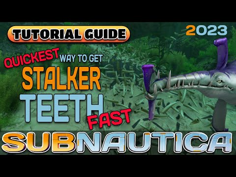 Quickest way to get STALKER TEETH Fast | SUBNAUTICA GUIDE