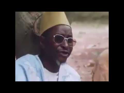 Amadou Hampâté Bâ Sagesse Africaine